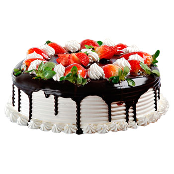 Cake 6